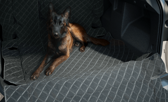 Dacia Duster stoelen
